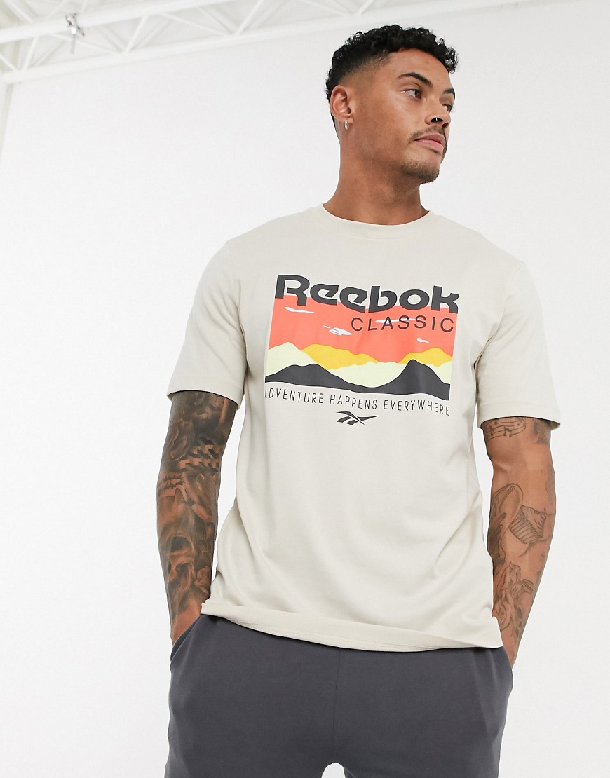 Reebok - T-shirt beige con scritta Trail-Grigio