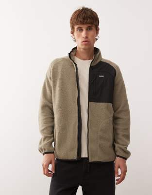 Regatta Frankie borg fleece in brown