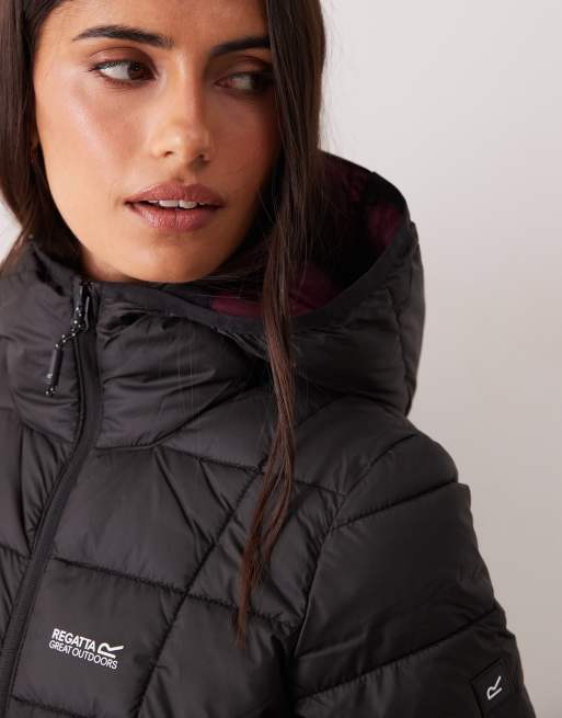 Regatta Hooded asper padded jacket in black fig, 3 of 4
