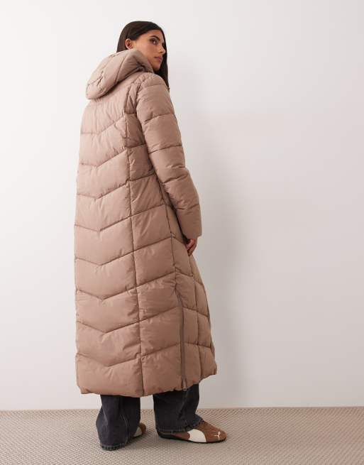 Regatta Insulated eloria quilted jacket in mocha, 4 of 4