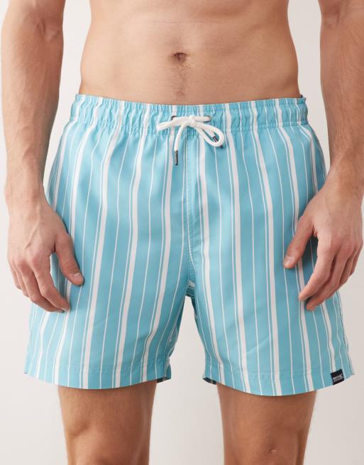 Regatta Quick-dry loras swim shorts in nordic blue white stripe, 4 of 5