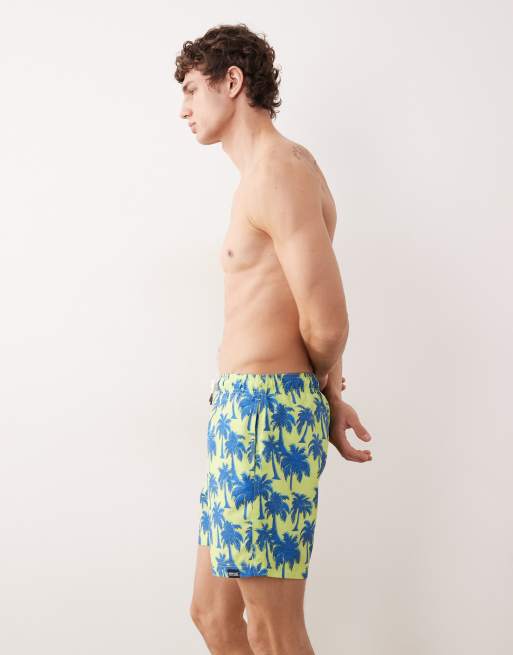 Regatta Quick-dry loras swim shorts in sharp green sonic blue palm, 3 of 5