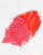 Thumbnail 4 of 4