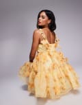 [River Island] River Island 3d floral trim dress in yellow 16 YELLOW