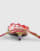 Thumbnail 3 of 3