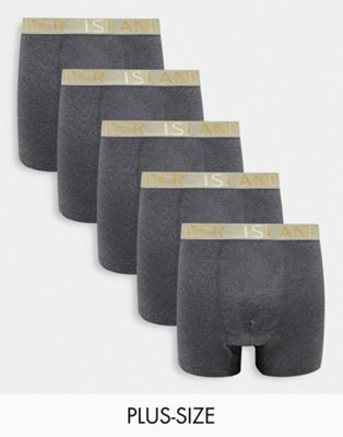 River Island Big & Tall 5 pack of trunks in grey