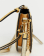 Thumbnail 4 of 4