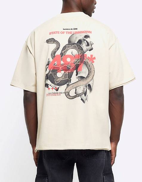 River Island Oversized fit snake graphic t-shirt in stone - light