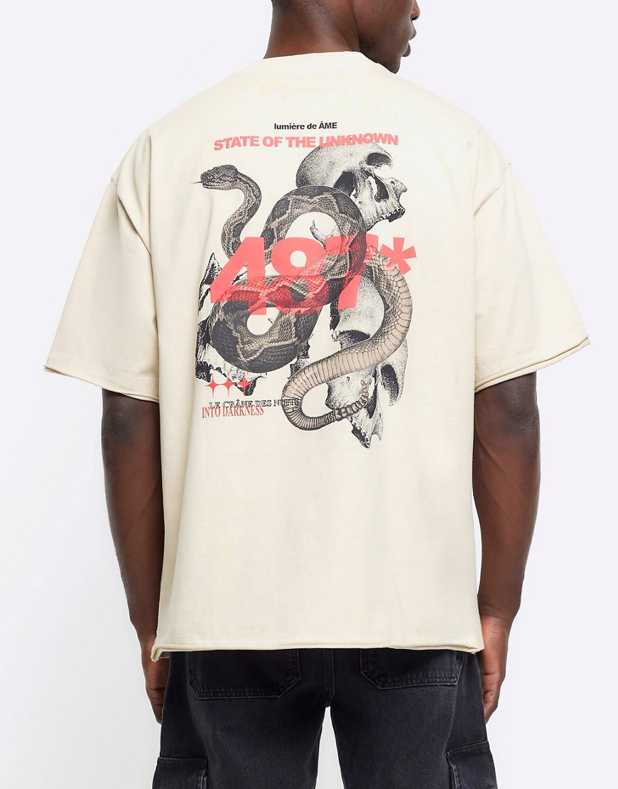 River Island Oversized fit snake graphic t-shirt in stone - light-Neutral