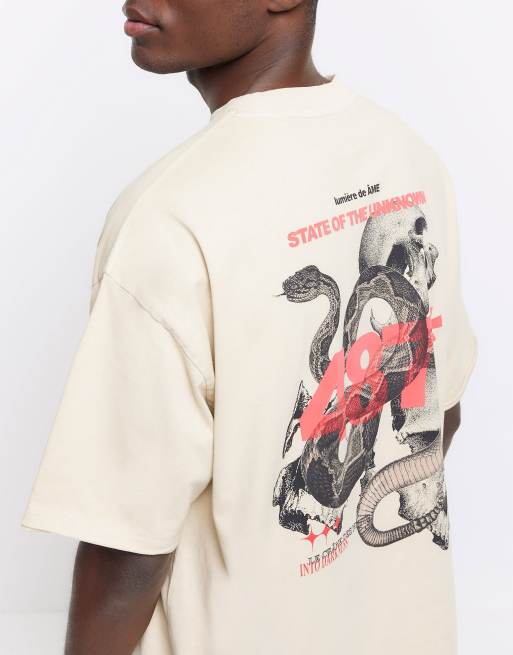 River Island Oversized fit snake graphic t-shirt in stone - light
