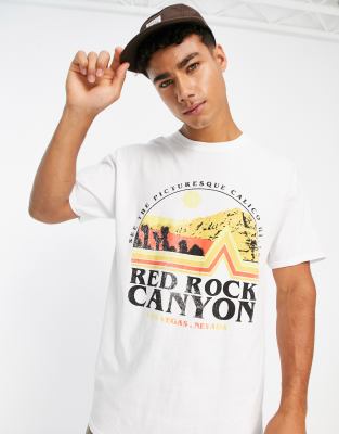 River Island regular red rock canyon t-shirt in white - ASOS Price Checker