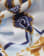 Thumbnail 2 of 2