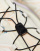 Thumbnail 3 of 4