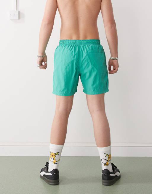 Santa Cruz Classic Dot logo swimshorts in blue, 4 of 4