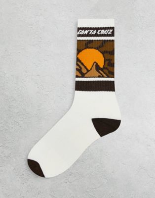 Santa Cruz vista strip socks in white