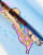 Thumbnail 4 van 4