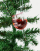 Thumbnail 3 of 4