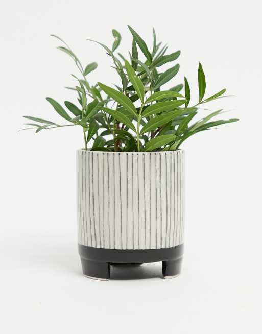 Sass & Belle - Vaso per piante piccolo geometrico