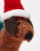 Thumbnail 4 von 4