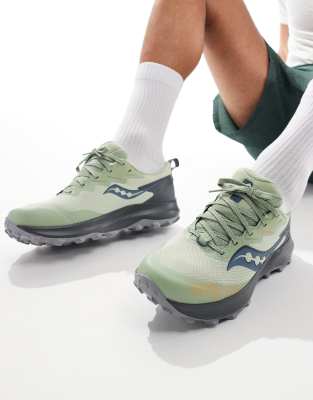 Saucony Saucony Peregrine 14 GTX neutral running trainers in sage-Green