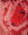 Thumbnail 5 van 5