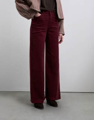 Scalpers - Sccorduroyfule - Hose in Burgunderrot