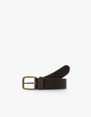 skull stripes belt in brown