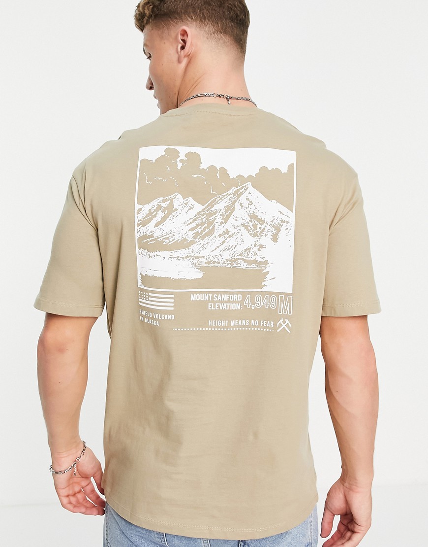 Selected Homme organic cotton oversized t-shirt with mountain back print in tan-Brown