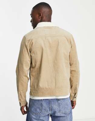 veste col mouton homme beige