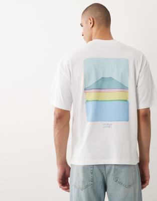 Selected Oversized T-shirt With Mount Fuji Backprint In Multi