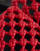 Miniatura 2 z 4