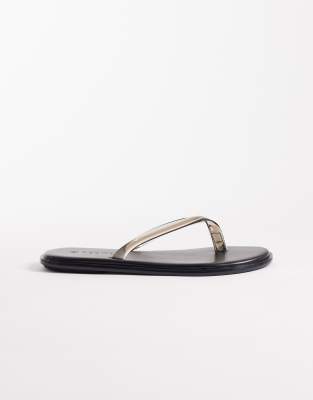 SEQWL - Jelly - Zehenstegsandalen in Schwarz