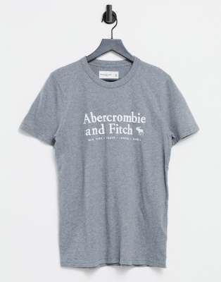 фото Серая футболка с логотипом abercrombie & fitch-серый