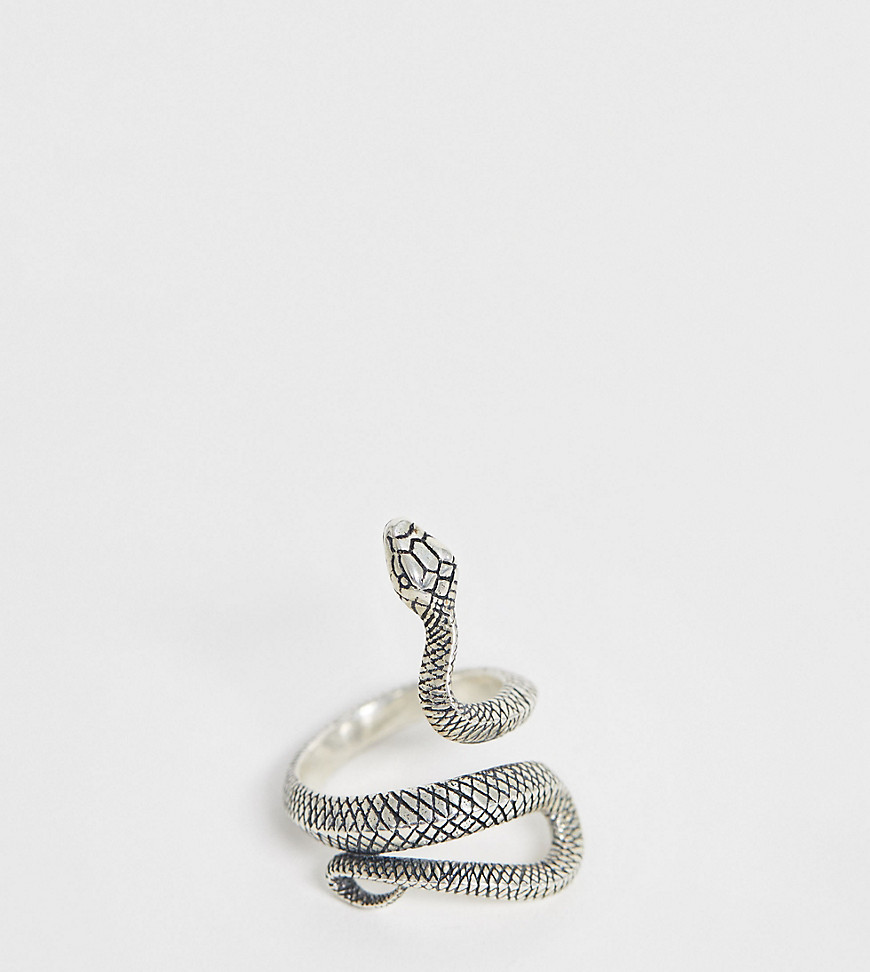 фото Серебряное кольцо в виде змеи serge denimes-серебряный