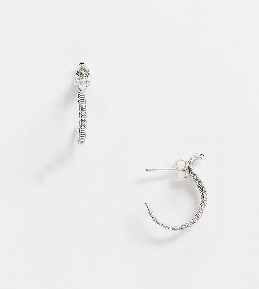 фото Серебряные серьги-кольца в виде змеи regal rose-серебряный