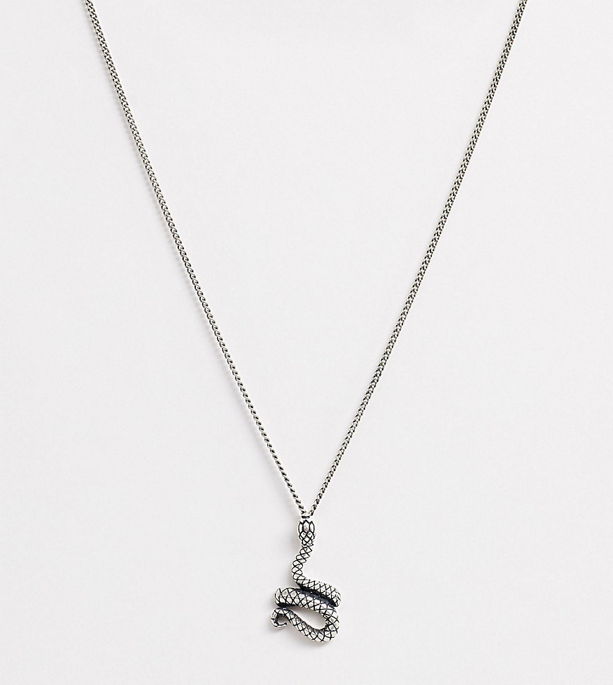 Serge DeNimes snake neck chain in silver