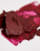 Thumbnail 3 van 4