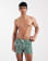 Miniatura 1 de 5