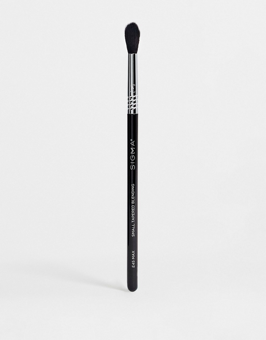 Sigma E45 Max Small Tapered Blending Brush-No color