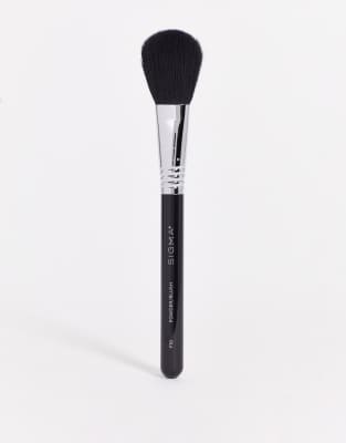 Sigma F10 Powder/blush Brush-no Color