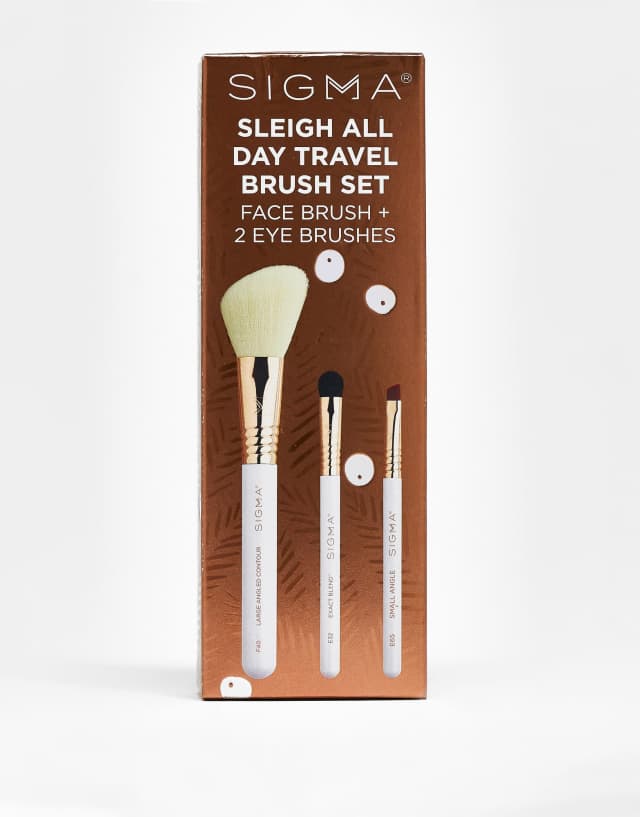 Sigma Sleigh All Day Travel Brush Set Save 31%