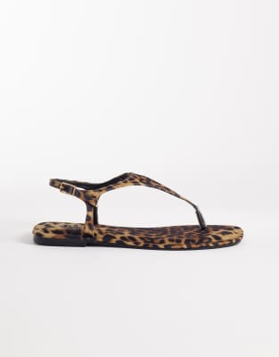 Simmi London - Perry - Zehenstegsandalen mit Leopardenmuster-Bunt