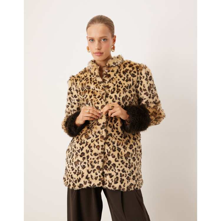 209801390-1-leopard?$n_750w$&