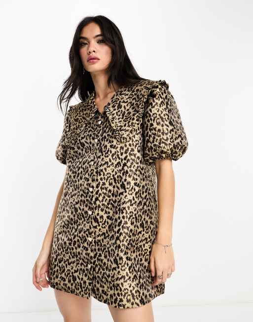 Leopard collar shop dress