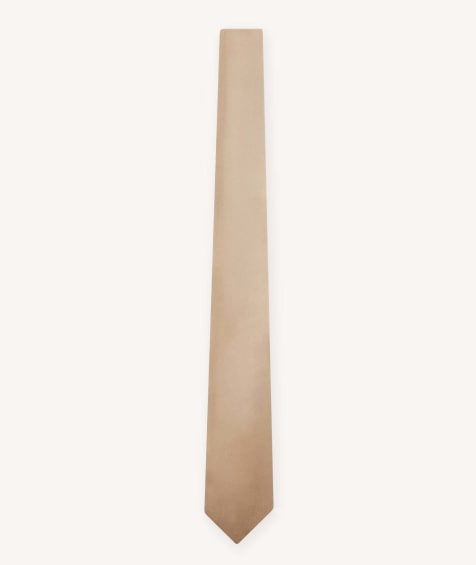 Six Stories Men's satin tie in champagne - view 1