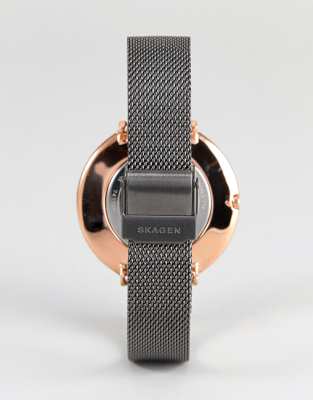 skagen skw2689