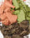 Thumbnail 4 van 4