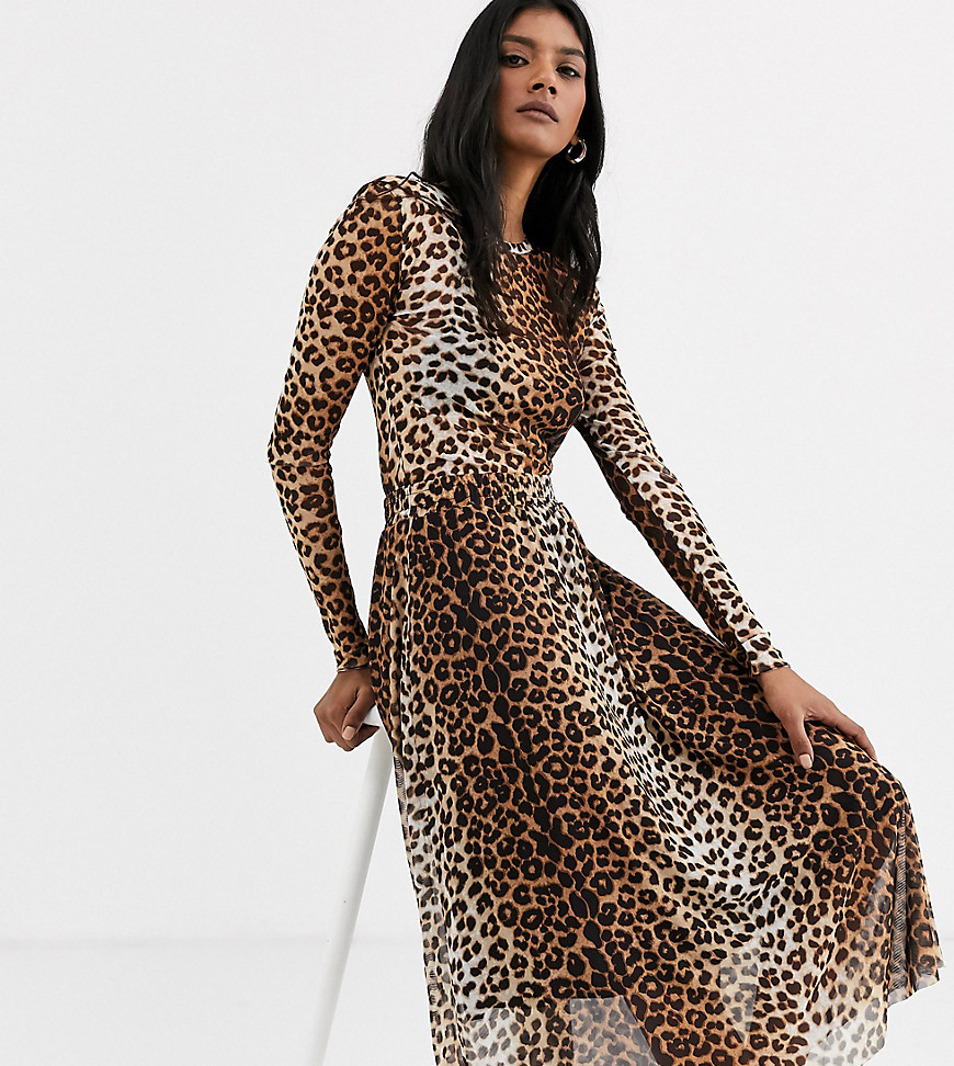 Soaked In Luxury leopard print sheer top-Multi