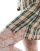 Thumbnail 4 of 5