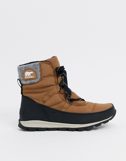 Sorel whitney short lace snow boots in tan
